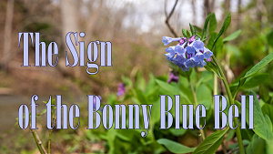 THE SIGN OF THE BONNY BLUE BELL
