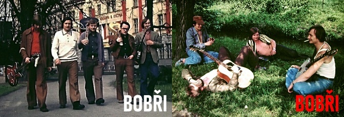 Bobři